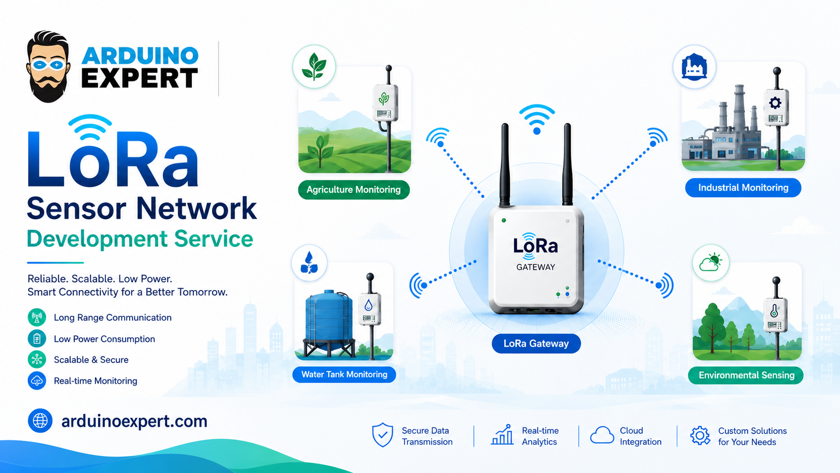 LoRa Sensor Network Development Service