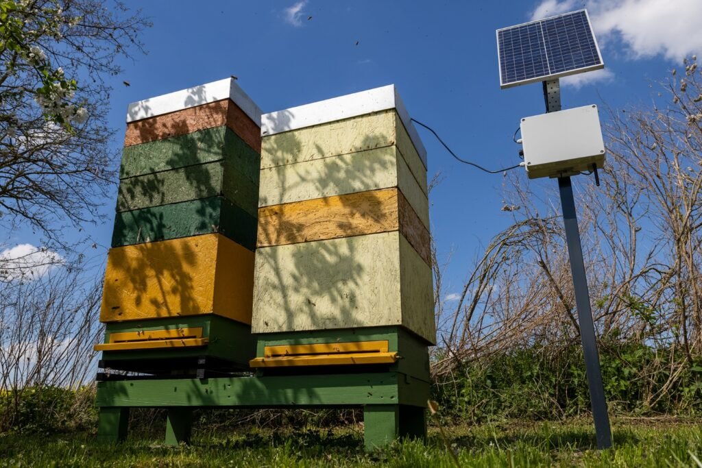 An IoT Smart Beehive Monitoring System of ArduinoExpert Client, Powered by Solar Panels and Battery